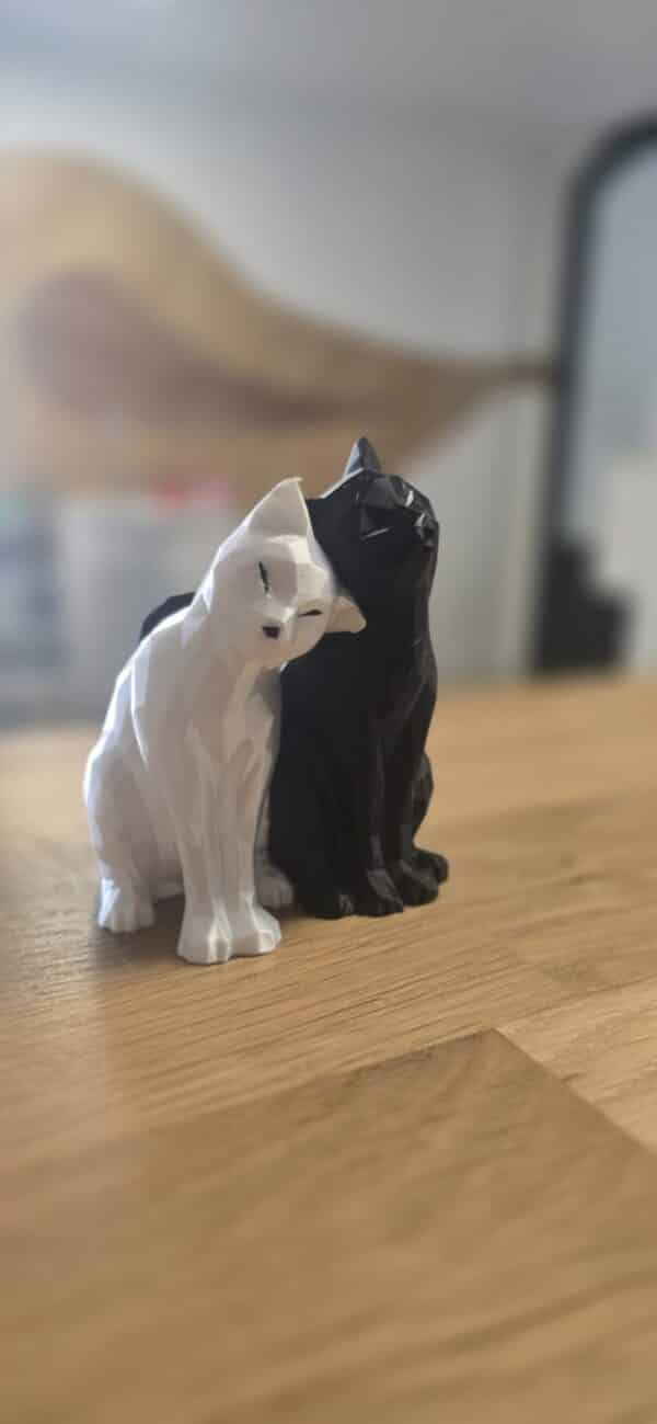 Duo chat