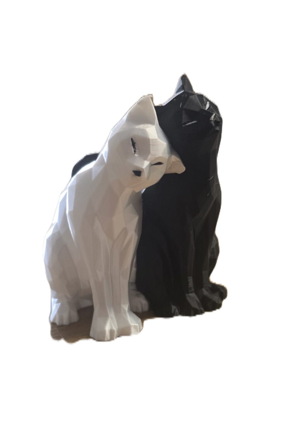 Duo chat Scaer 1 1 - Scaër Quimperlé Duo chat