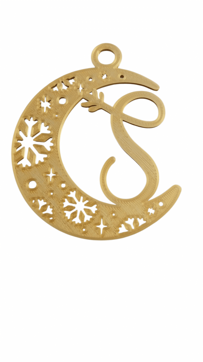 lune initiale s coray - Scaër Quimperlé Lune Initiale – Image 7