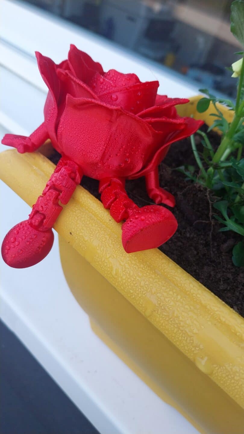 20260322 074533 - Scaër Quimperlé Rose articulée