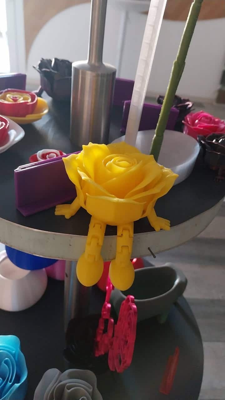 Le printemps arrive 3 945526111319398 - Scaër Quimperlé Rose articulée – Image 5